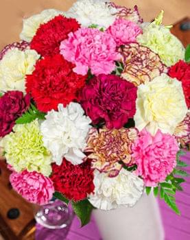 TWO DOZEN COLORFUL CARNATIONS